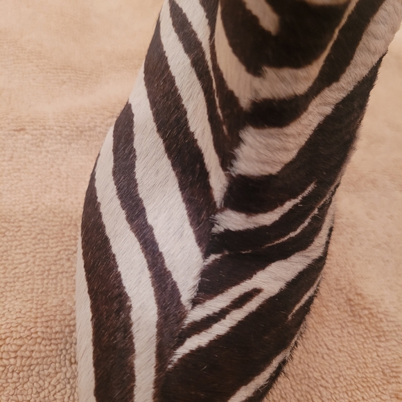 Steve Madden Zebra booties - Picture 11 of 12